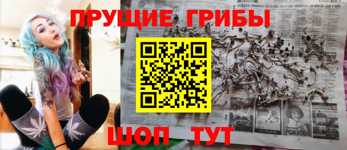 Псилоцибиновые грибы MAGIC MUSHROOMS  Галлюциногенные грибы мухоморы  Кореновск  Вход с VPN 